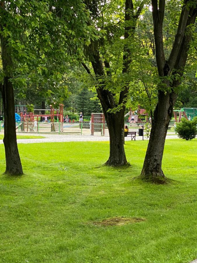 Komfortowy Aga Centrum * Wisla