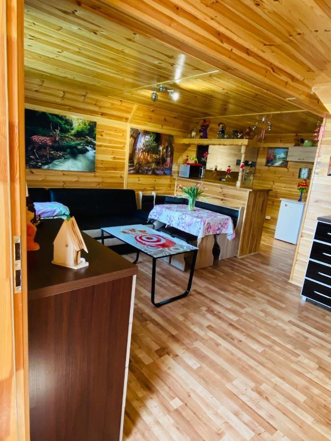 Chalet Komfortowy Aga Centrum *